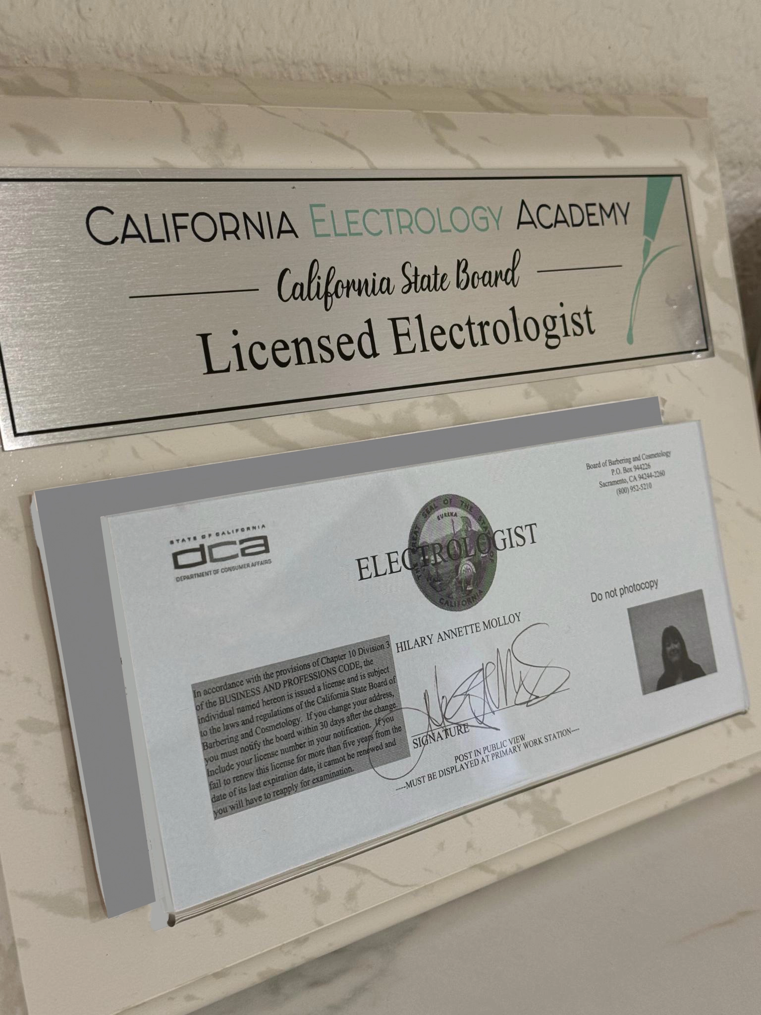 Hilary Molloy Electrologist License
